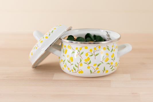 Simmering Potpourri Enamel Pot